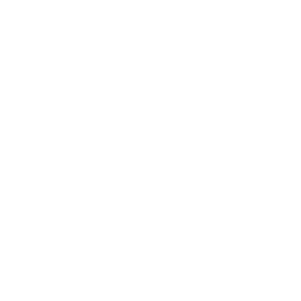 Server